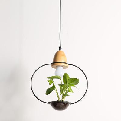 Zox - Modern Nordic Iron Pendant Planter Lamp