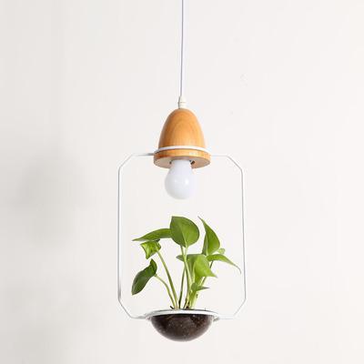 Zox - Modern Nordic Iron Pendant Planter Lamp