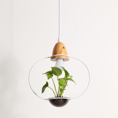 Zox - Modern Nordic Iron Pendant Planter Lamp